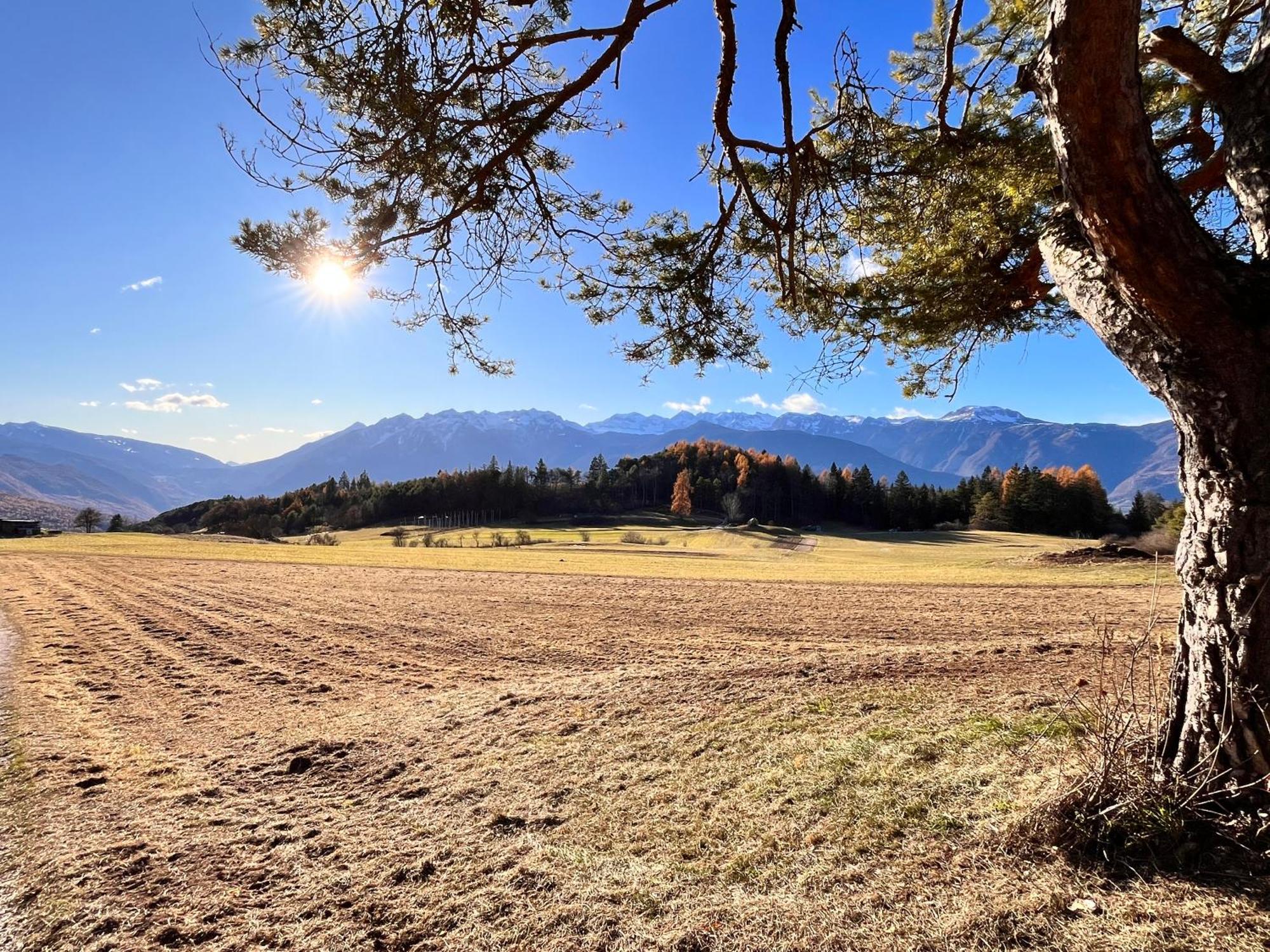 Ciasa Erica - Val Di Non Daire Predaia Dış mekan fotoğraf